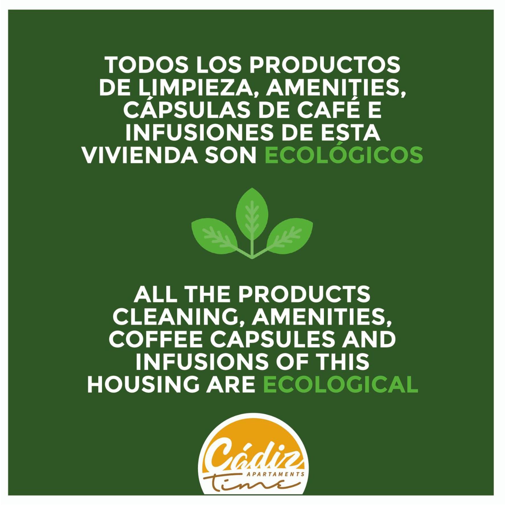 Appartamento Ático Catedral - WIFI - PETFRIENDLY - ECOFRIENDLY Cadice Esterno foto